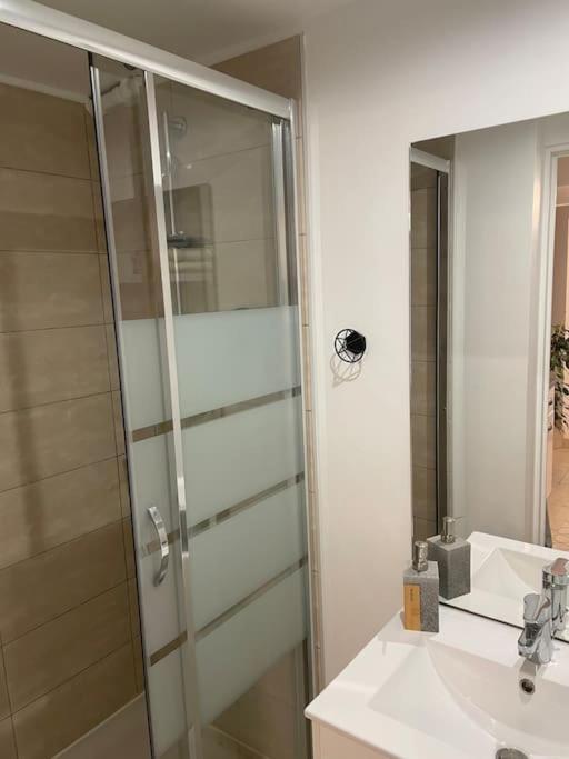 Le Cocon Balneo Apartment Sens Bagian luar foto